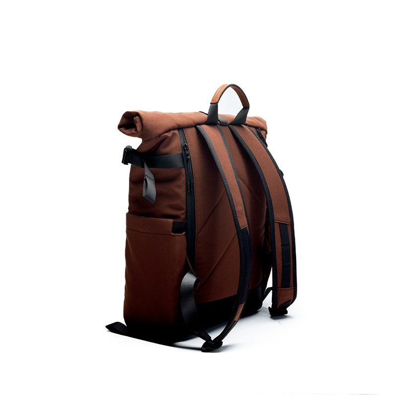 #color_brown
