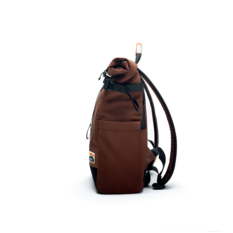 #color_brown